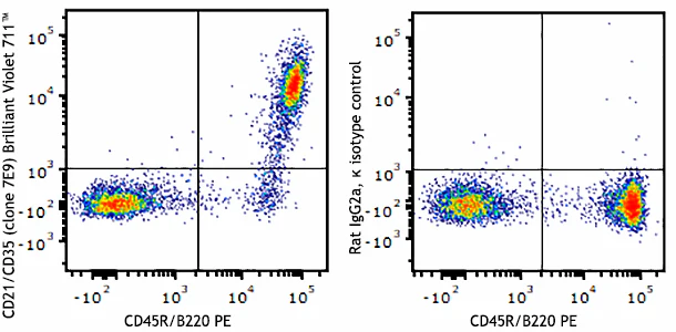 Brilliant Violet 711™ anti-mouse CD21/CD35 (CR2/CR1)