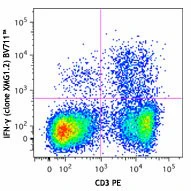 Brilliant Violet 711™ anti-mouse IFN-γ