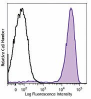 Brilliant Violet 711â„¢ anti-mouse Ly-6G/Ly-6C (Gr-1)