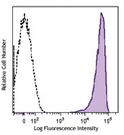 Brilliant Violet 711™ anti-rat CD90/mouse CD90.1 (Thy-1.1) - Image 2
