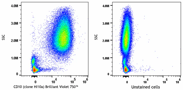 Brilliant Violet 750™ anti-human CD10 - Image 2
