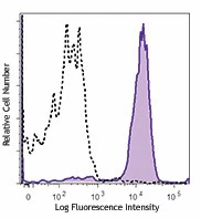 Brilliant Violet 785™ anti-human CD107a (LAMP-1)