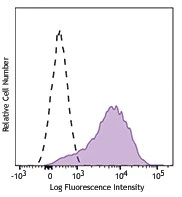 Brilliant Violet 785™ anti-human CD117 (c-kit)
