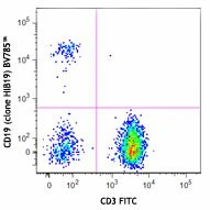 Brilliant Violet 785™ anti-human CD19