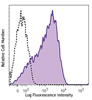 Brilliant Violet 785™ anti-human CD366 (Tim-3)