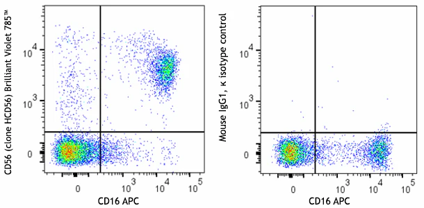 Brilliant Violet 785™ anti-human CD56 (NCAM)