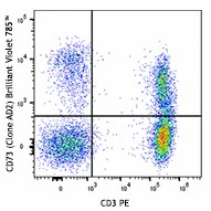 Brilliant Violet 785™ anti-human CD73 (Ecto-5'-nucleotidase)