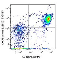 Brilliant Violet 785â„¢ anti-mouse CD185 (CXCR5)