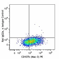 Brilliant Violet 785™ anti-mouse CD206 (MMR) - Image 2