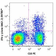 Brilliant Violet 785™ anti-mouse IFN-γ