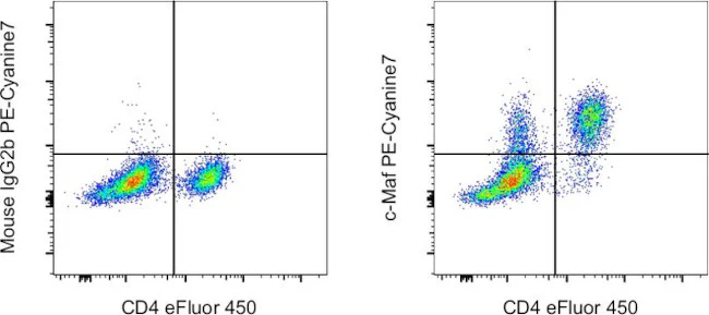 c-MAF Monoclonal Antibody (sym0F1), PE-Cyanine7, eBioscience