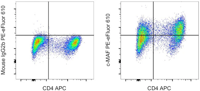c-MAF Monoclonal Antibody (sym0F1), PE-eFluor 610, eBioscience