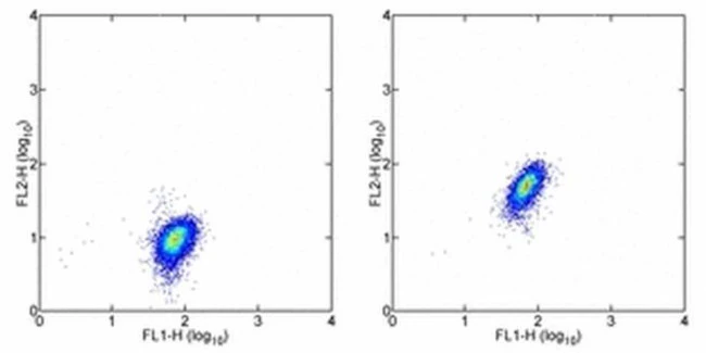 c-Met Monoclonal Antibody (eBioclone 97), eBioscience