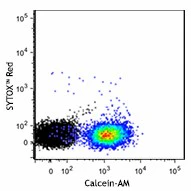 Calcein-AM