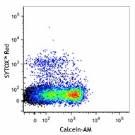 Calcein-AM - Image 2