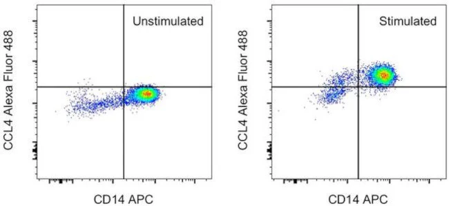 CCL4 (MIP-1 beta) Monoclonal Antibody (FL34Z3L), Alexa Fluor 488, eBioscience