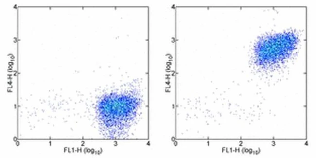 CD10 Monoclonal Antibody (eBioCB-CALLA (CB-CALLA)), APC, eBioscience