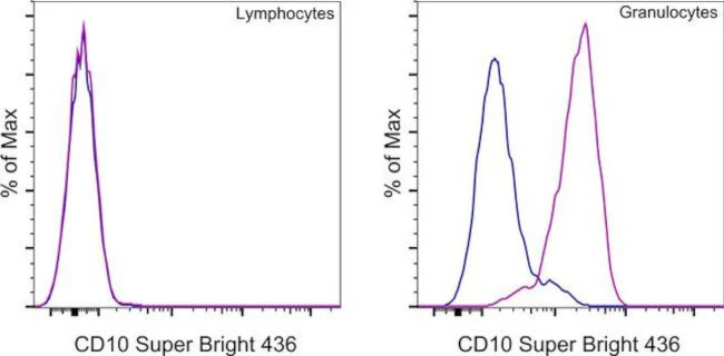 CD10 Monoclonal Antibody (eBioCB-CALLA (CB-CALLA)), Super Bright 436, eBioscience