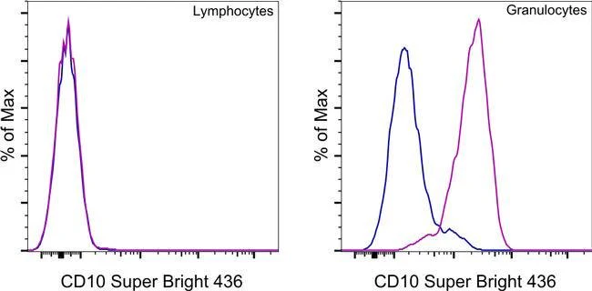 CD10 Monoclonal Antibody (eBioCB-CALLA (CB-CALLA)), Super Bright™ 436, eBioscience™