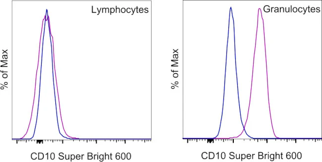 CD10 Monoclonal Antibody (SN5c), Super Bright 600, eBioscience