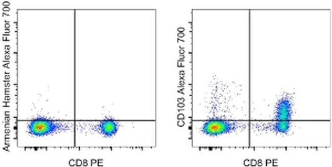 CD103 (Integrin alpha E) Monoclonal Antibody (2E7), Alexa Fluor 700, eBioscience