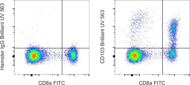 CD103 (Integrin alpha E) Monoclonal Antibody (2E7), Brilliant Ultra Violet 563, eBioscience
