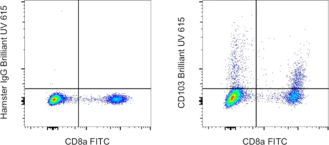 CD103 (Integrin alpha E) Monoclonal Antibody (2E7), Brilliant Ultra Violet 615, eBioscience