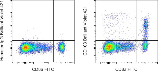 CD103 (Integrin alpha E) Monoclonal Antibody (2E7), Brilliant Violet™ 421
