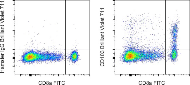 CD103 (Integrin alpha E) Monoclonal Antibody (2E7), Brilliant Violet™ 711
