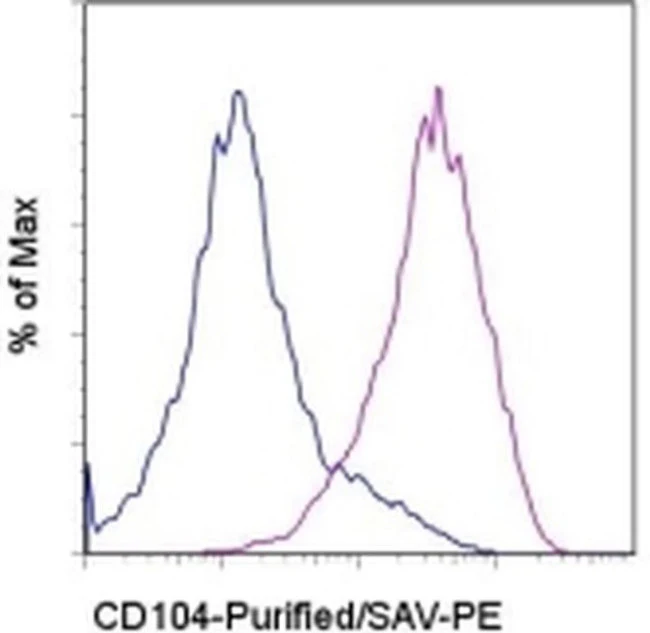 CD104 (Integrin beta 4) Monoclonal Antibody (439-9B), eBioscience