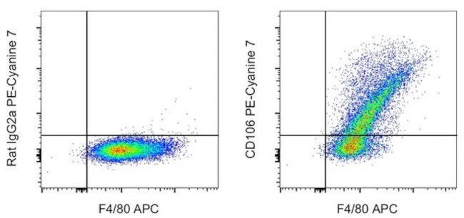 CD106 (VCAM-1) Monoclonal Antibody (429), PE-Cyanine7, eBioscience