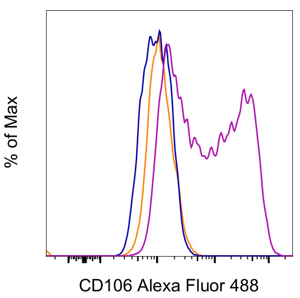 CD106 (VCAM-1) Monoclonal Antibody (STA), Alexa Fluor 488, eBioscience