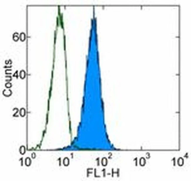 CD107b (LAMP-2) Monoclonal Antibody (eBioH4B4 (H4B4)), Alexa Fluor 488, eBioscience