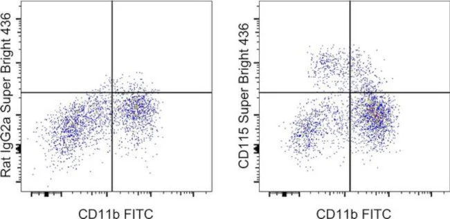 CD115 (c-fms) Monoclonal Antibody (12-3A3-1B10), Super Bright 436, eBioscience