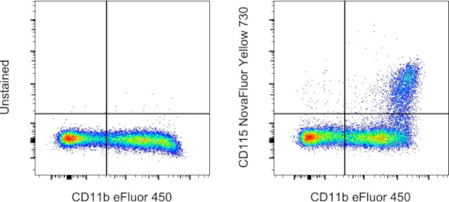 CD115 (c-fms) Monoclonal Antibody (AFS98), NovaFluor™ Yellow 730