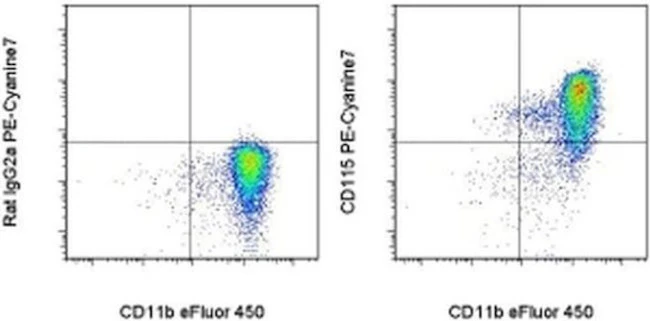 CD115 (c-fms) Monoclonal Antibody (AFS98), PE-Cyanine7, eBioscience