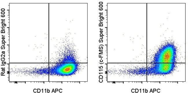 CD115 (c-fms) Monoclonal Antibody (AFS98), Super Bright™ 600, eBioscience™