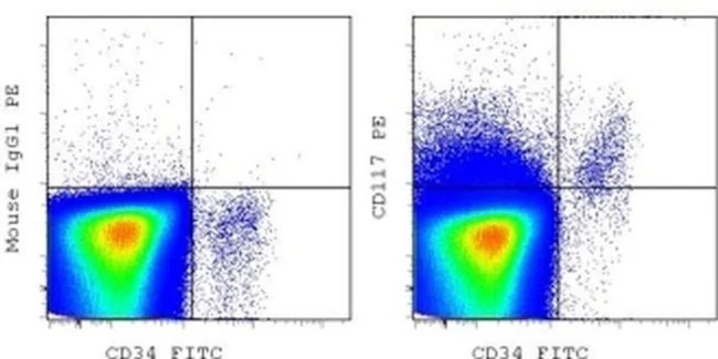 CD117 (c-Kit) Monoclonal Antibody (104D2), PE, eBioscience