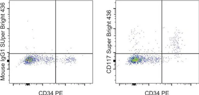 CD117 (c-Kit) Monoclonal Antibody (104D2), Super Bright 436, eBioscience