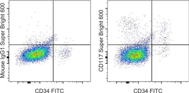 CD117 (c-Kit) Monoclonal Antibody (104D2), Super Bright 600, eBioscience