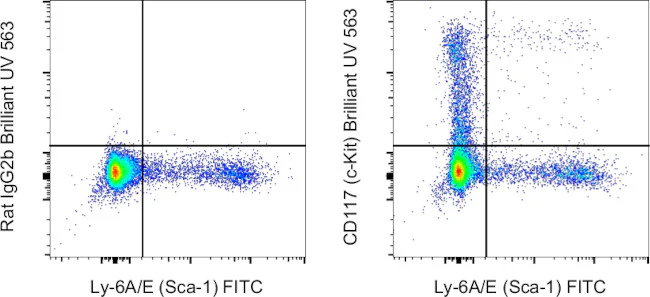 CD117 (c-Kit) Monoclonal Antibody (2B8), Brilliant Ultra Violet 563, eBioscience