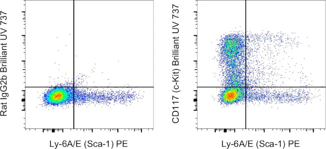 CD117 (c-Kit) Monoclonal Antibody (2B8), Brilliant Ultra Violet 737, eBioscience