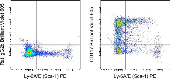 CD117 (c-Kit) Monoclonal Antibody (2B8), Brilliant Violet 605, eBioscience