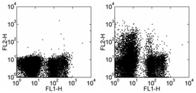 CD117 (c-Kit) Monoclonal Antibody (2B8), eBioscience