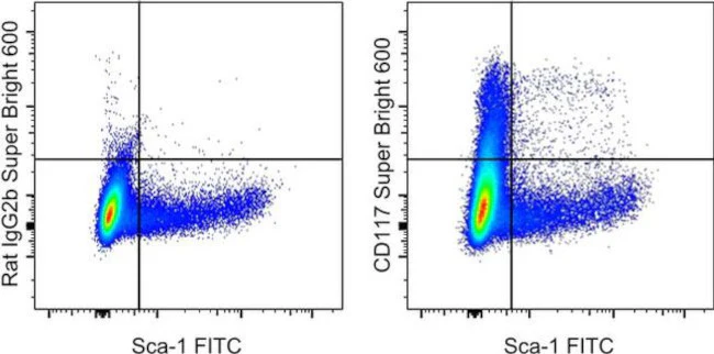 CD117 (c-Kit) Monoclonal Antibody (2B8), Super Bright 600, eBioscience