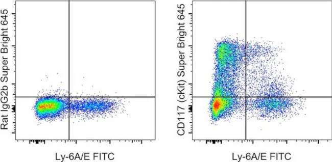 CD117 (c-Kit) Monoclonal Antibody (2B8), Super Bright 645, eBioscience