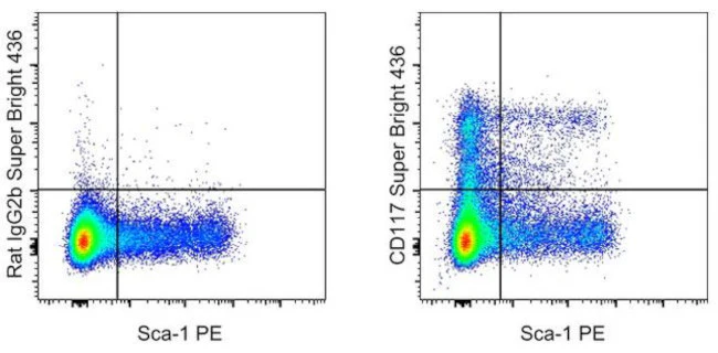 CD117 (c-Kit) Monoclonal Antibody (ACK2), Super Bright 436, eBioscience