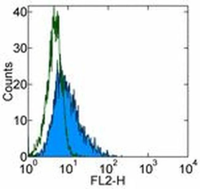 CD117 (c-Kit) Monoclonal Antibody (YB5.B8), Biotin, eBioscience