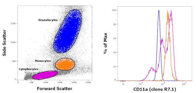 CD11a (LFA-1alpha) Monoclonal Antibody (R7.1), Biotin, eBioscience