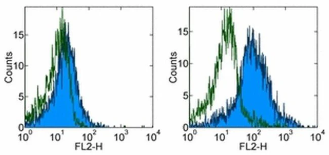 CD11b (activation epitope) Monoclonal Antibody (CBRM1/5), PE, eBioscience
